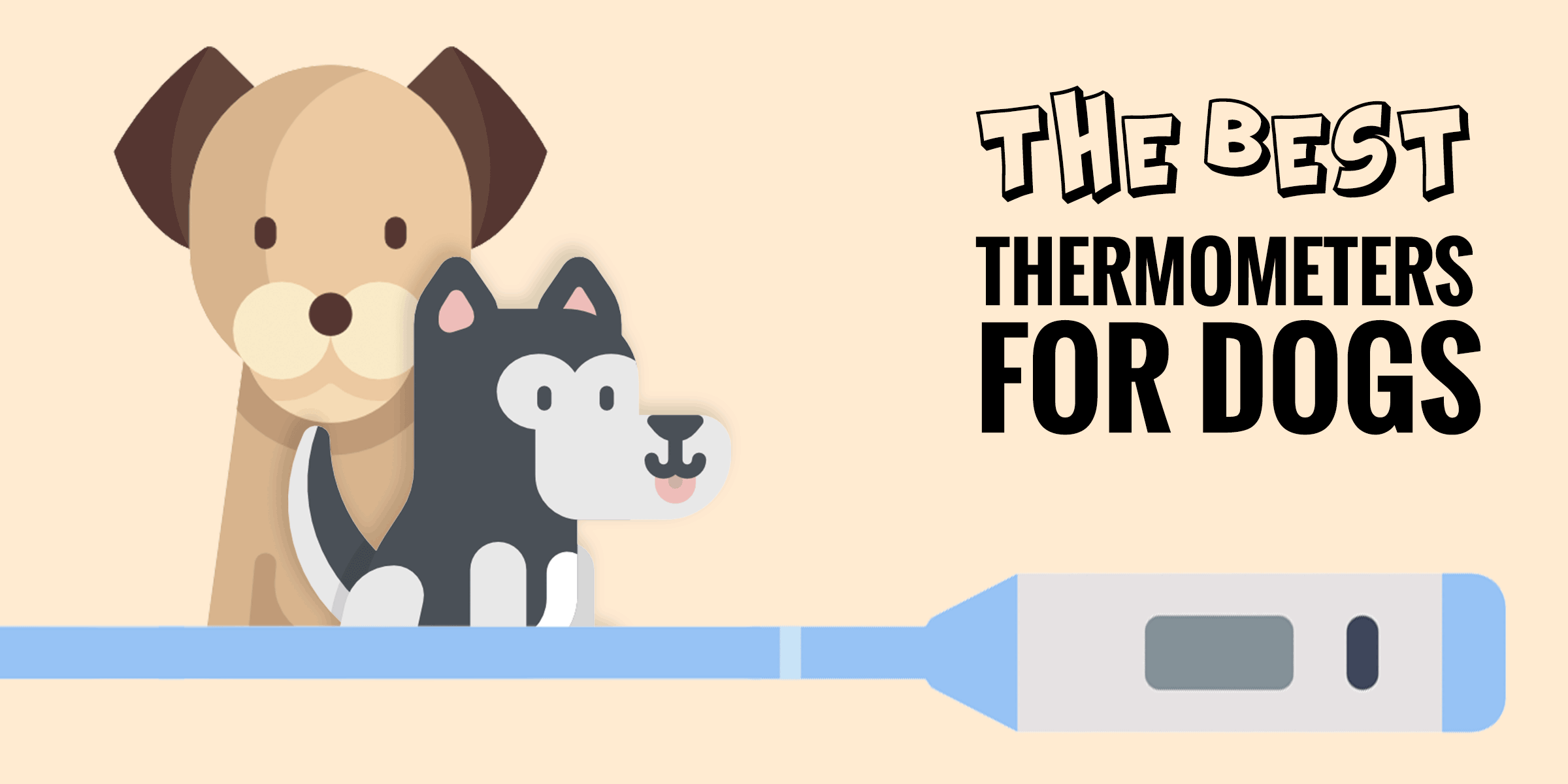Best Dog Thermometers