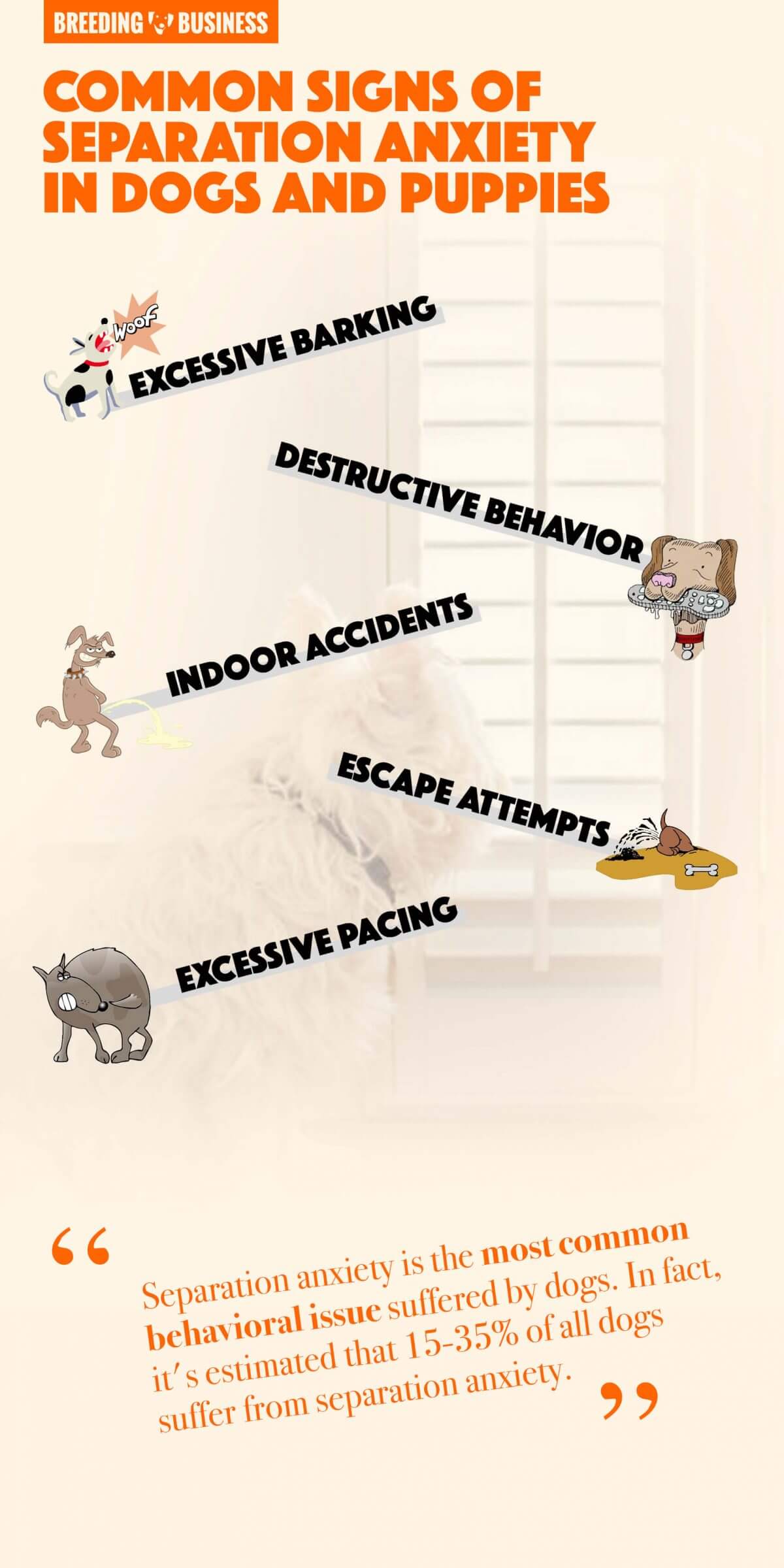 signs of separation anxiety in dogs and puppies (infographic)
