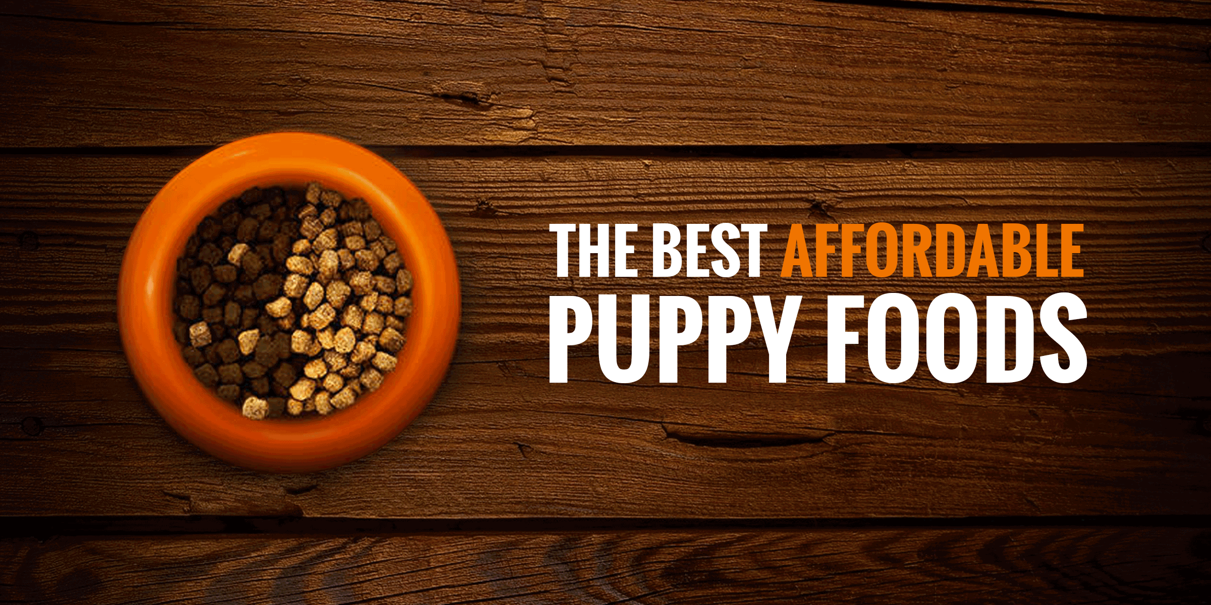 Best Cheap Puppy Foods