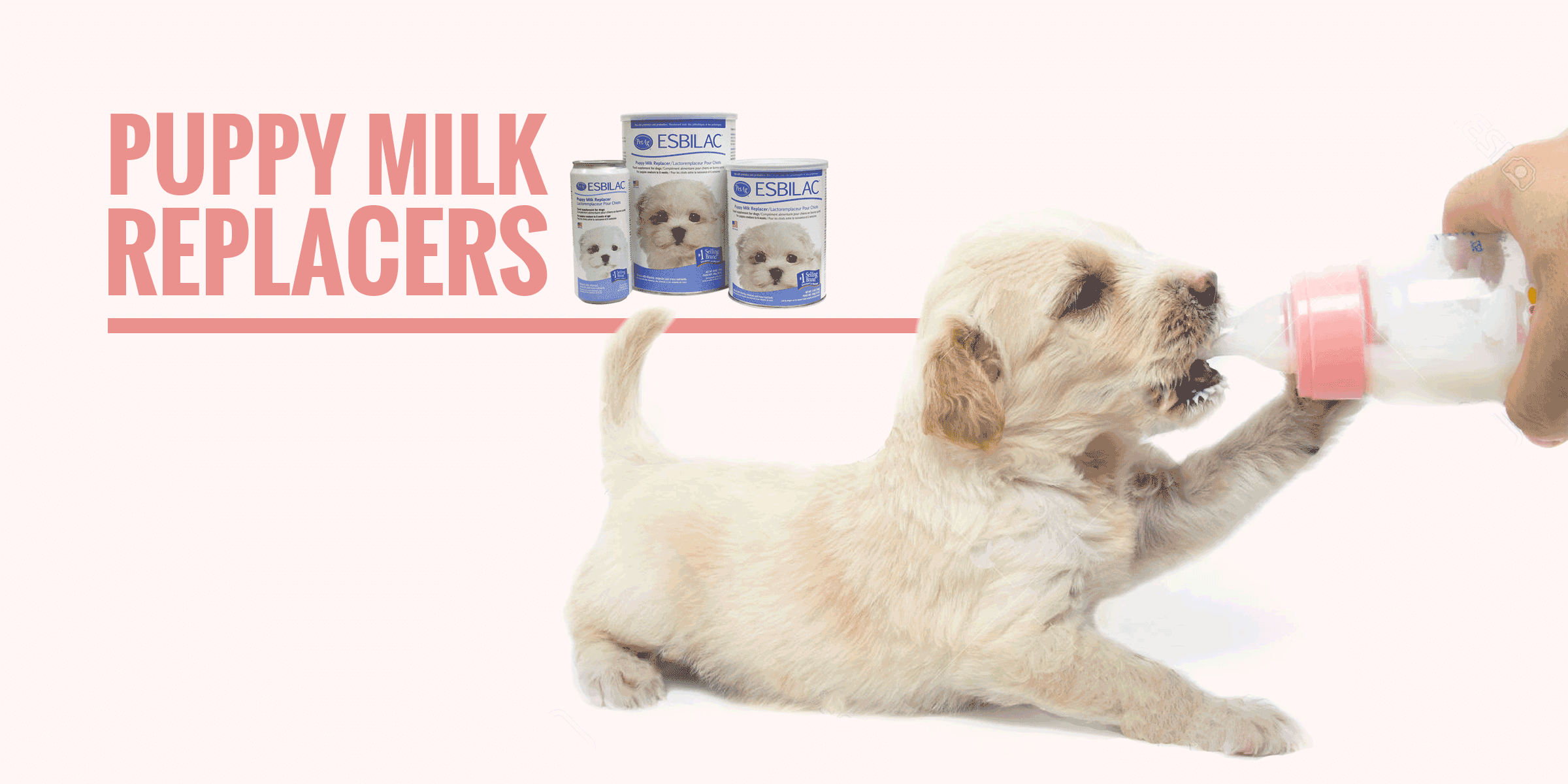 puppy milk replacers