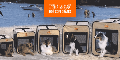 6 Best Dog Soft Crates (Reviews & Buying Guide)