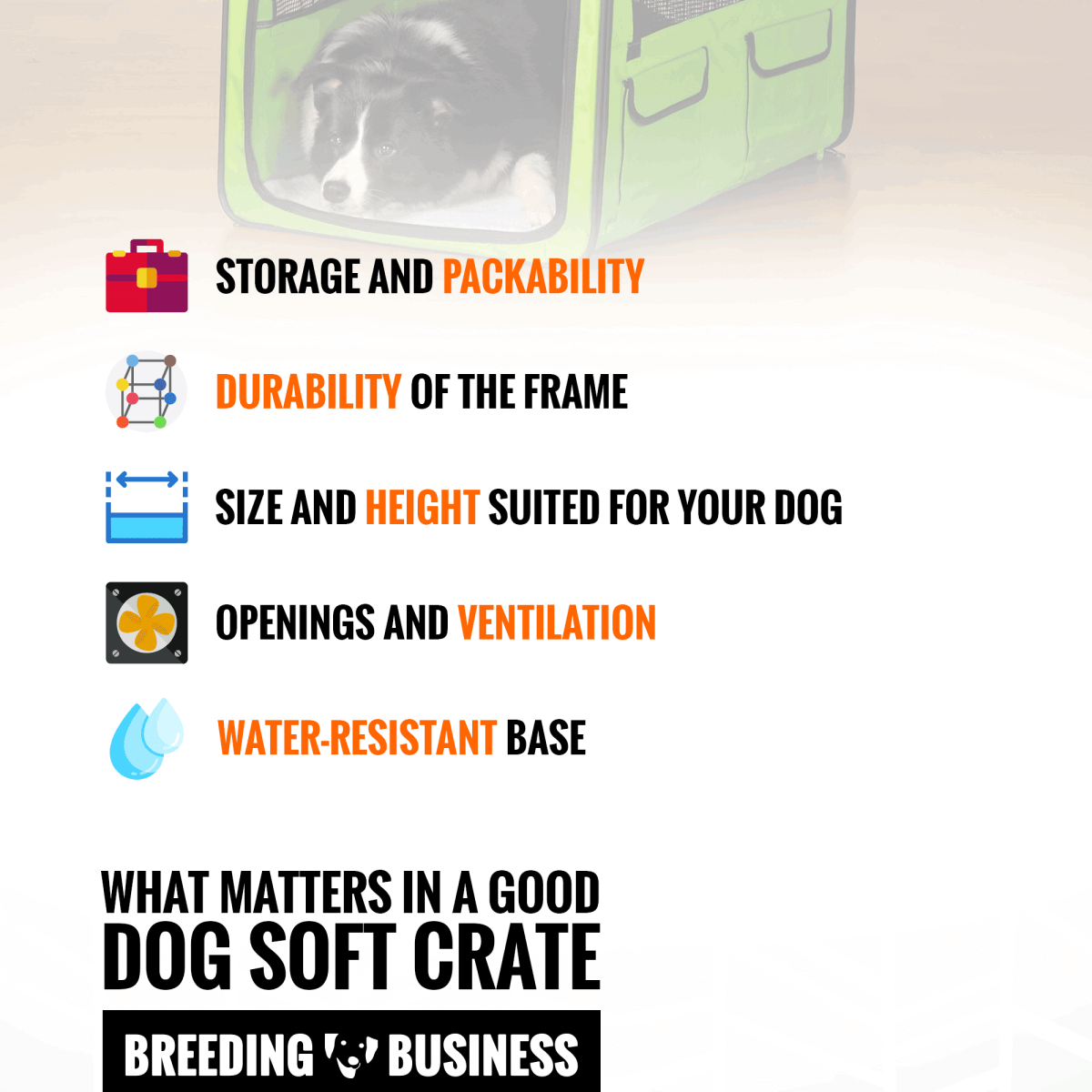 View of Top 6 Best Dog Soft Crates — Buying Guide (2026 Reviews)