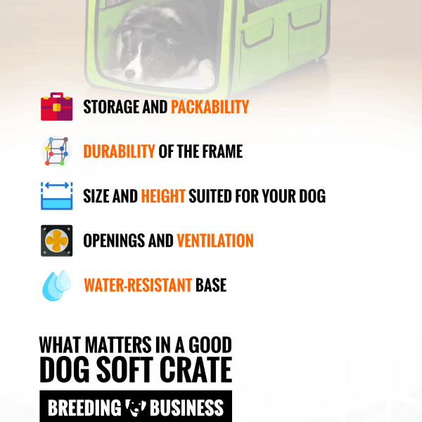 Curated visual reference: Picture Idea: Top 6 Best Dog Soft Crates