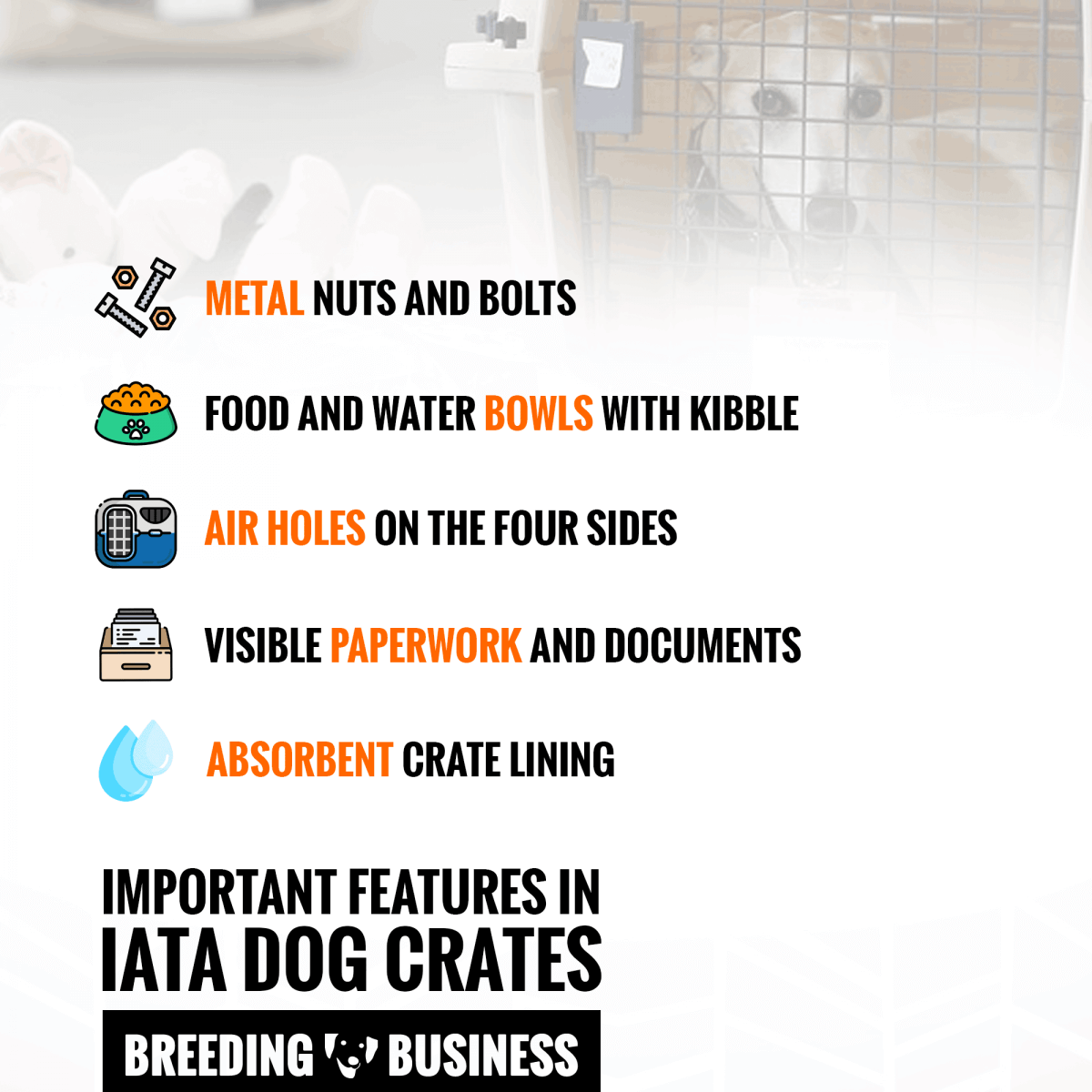 Important Features For Airline-Approved Dog Crates