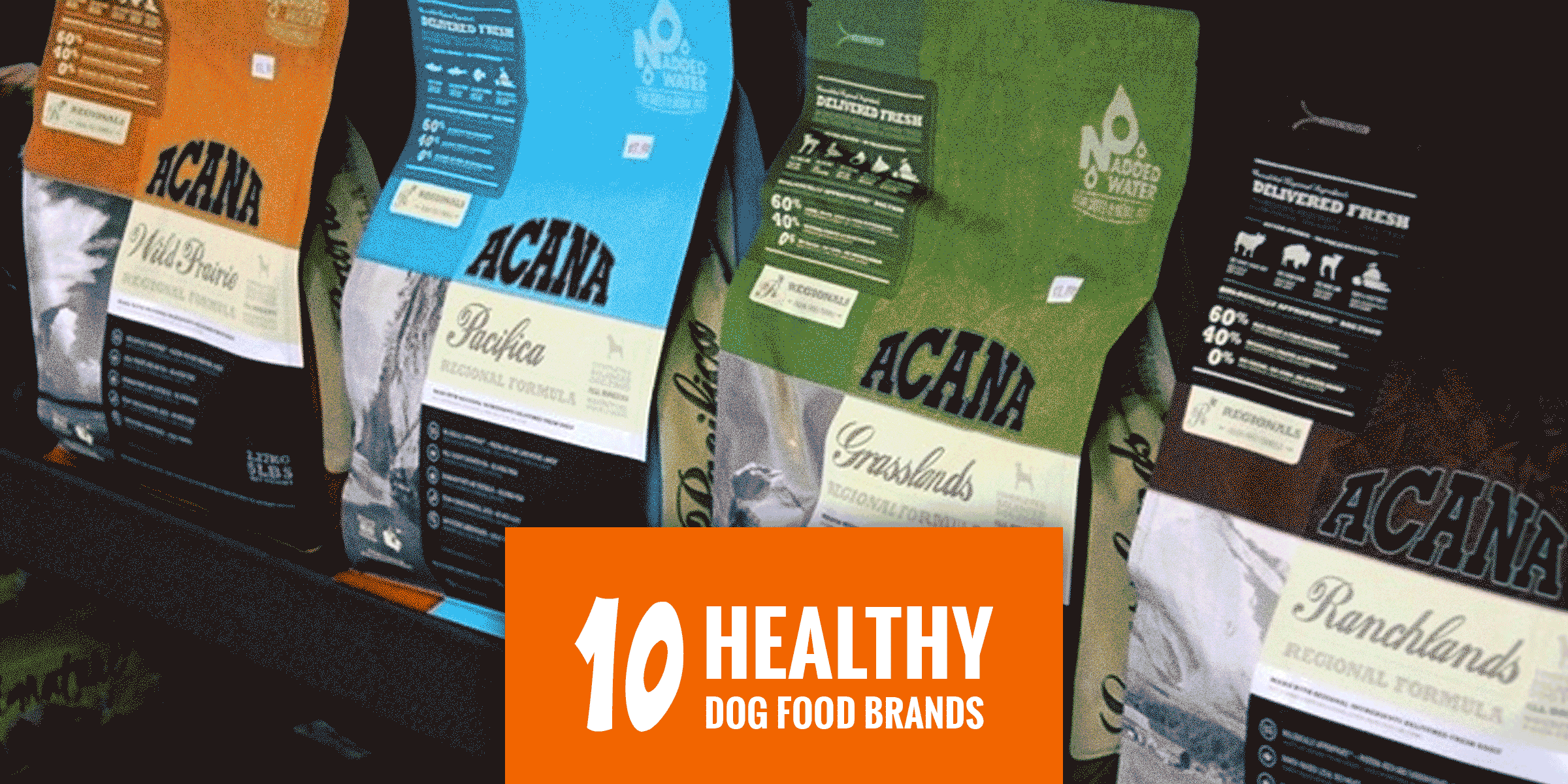 Top 10 Most Popular Healthy Dog Food Brands