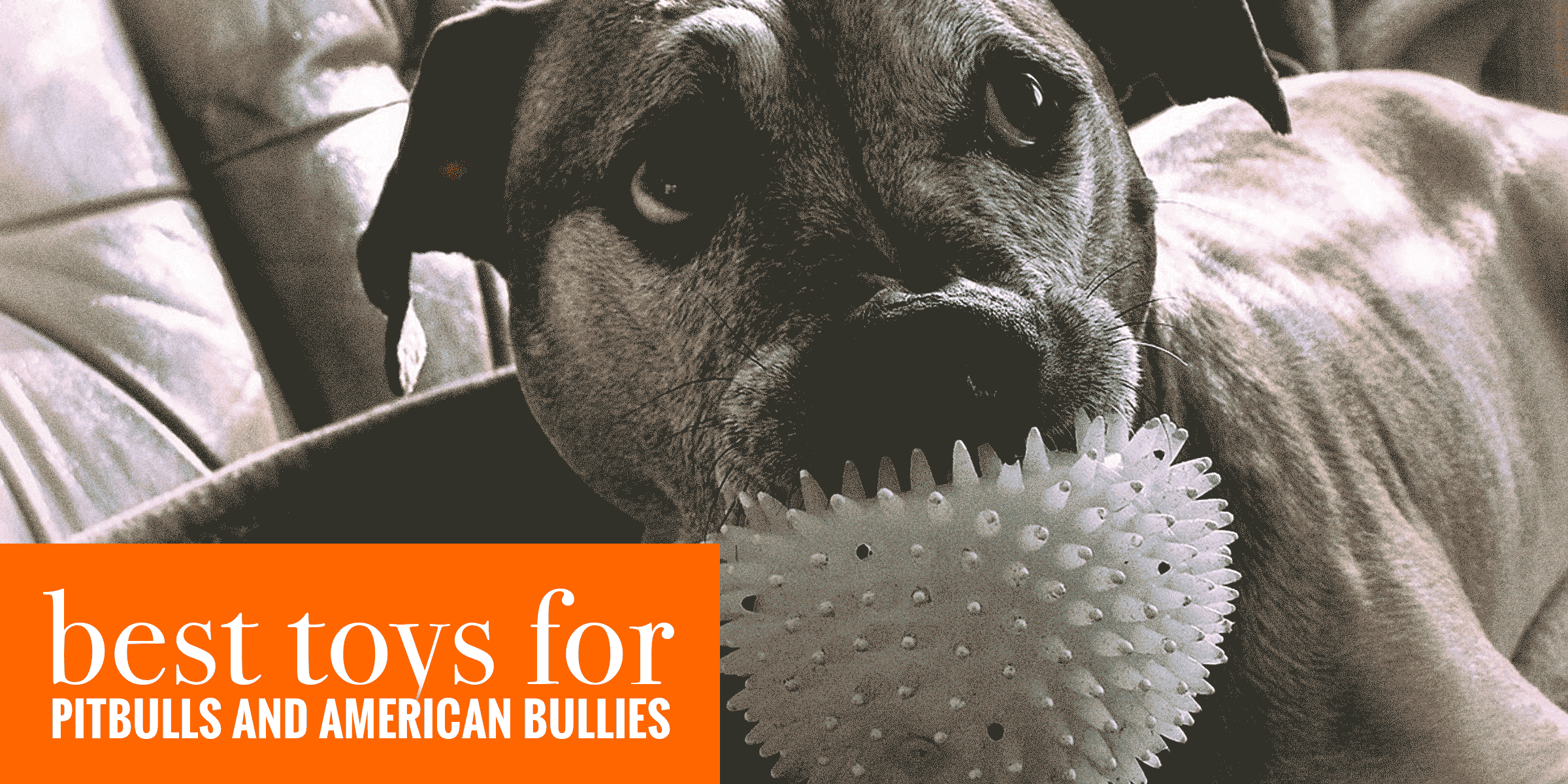 10 Best Toys For Pitbulls & American Bullies