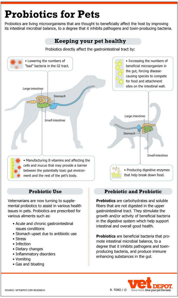 how do probiotics work for dogs