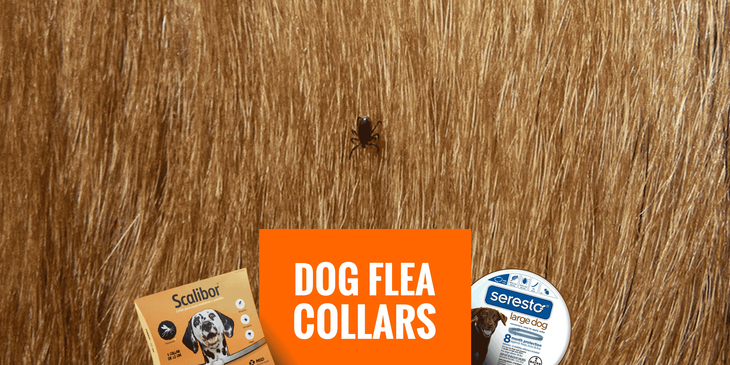 Top 5 Best Dog Flea Collars with Free Guide!