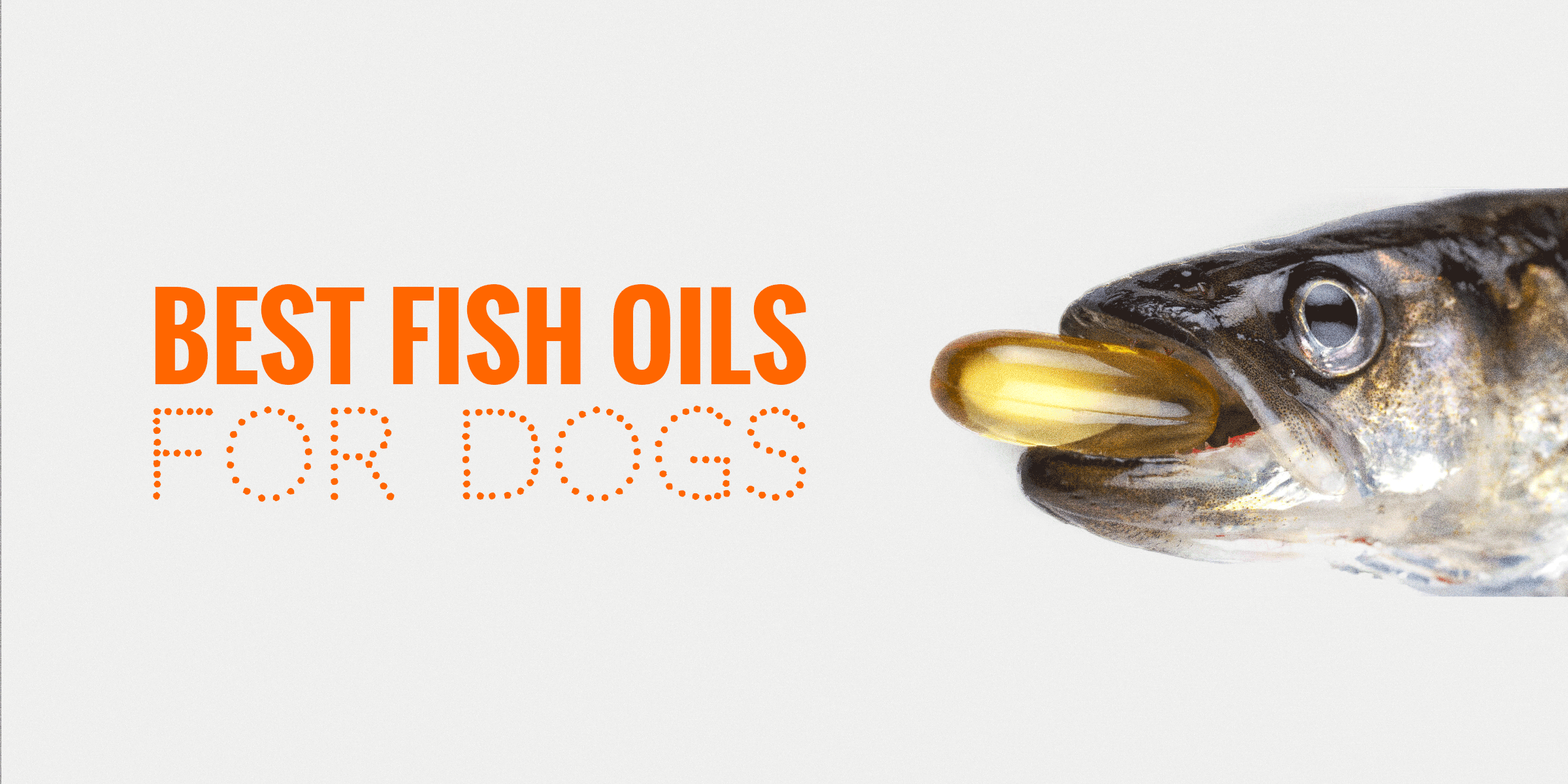 best fish oils for dogs