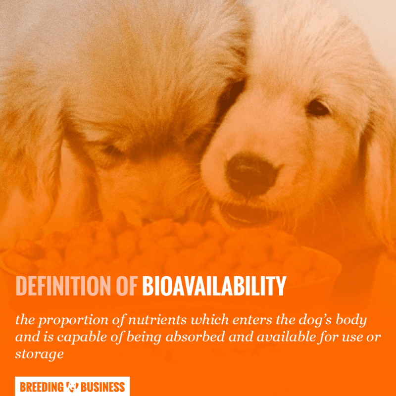 bioavailability of dog food