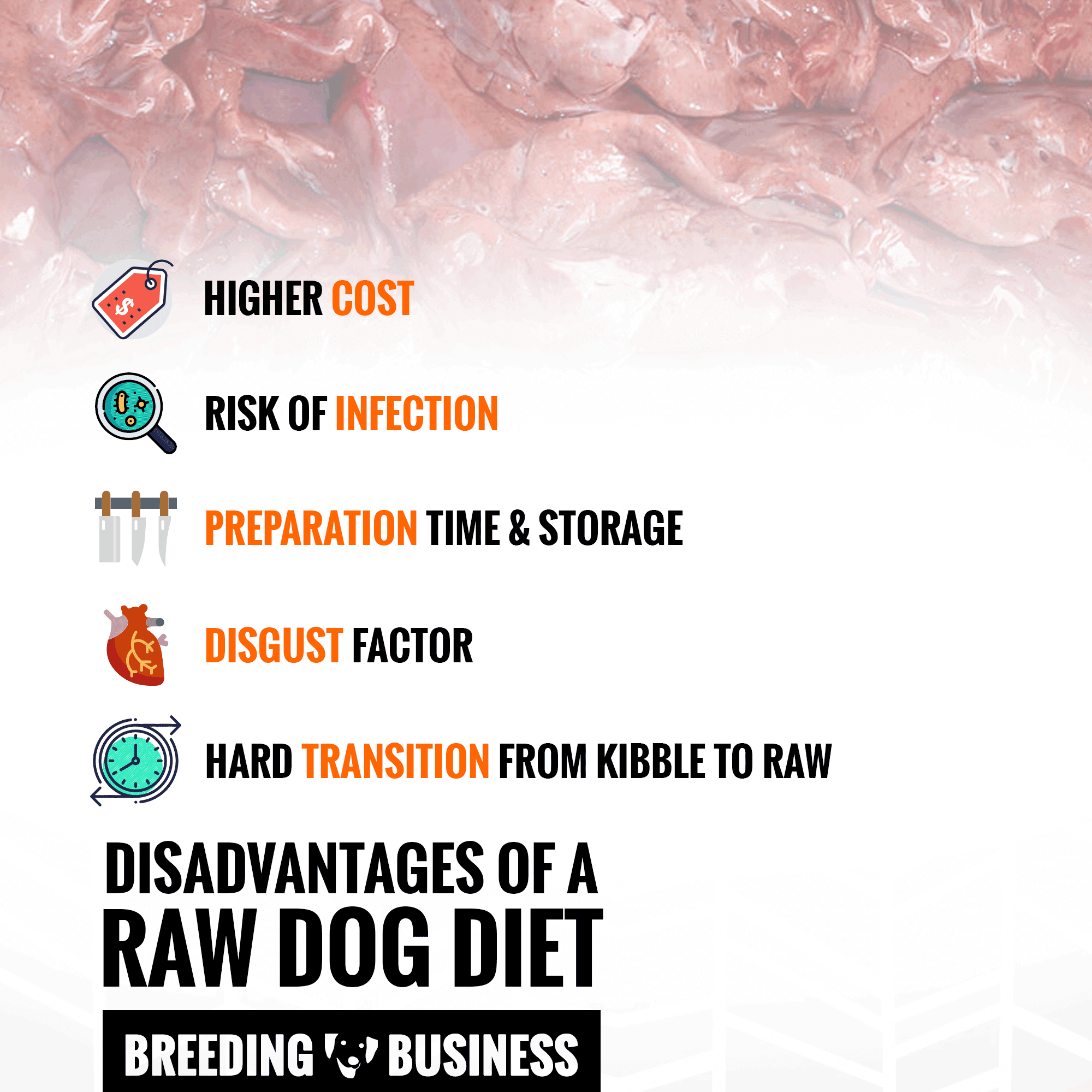 Benefits & Disadvantages of Raw Feeding and Raw Dog Diets
