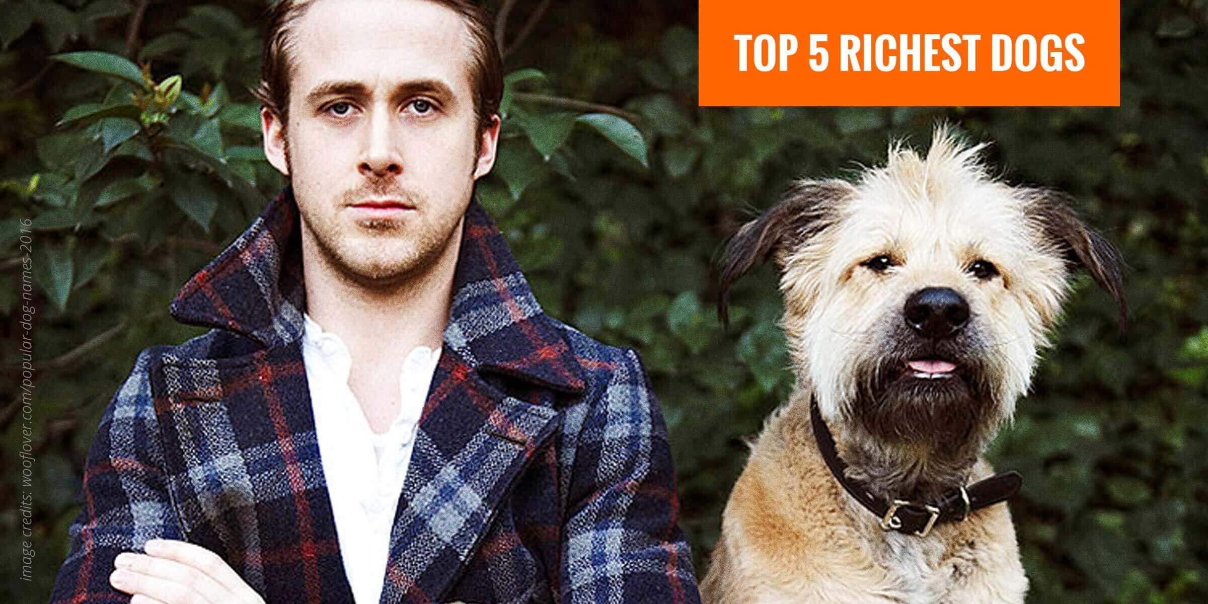 List of the 5 most wealthiest dogs ever!