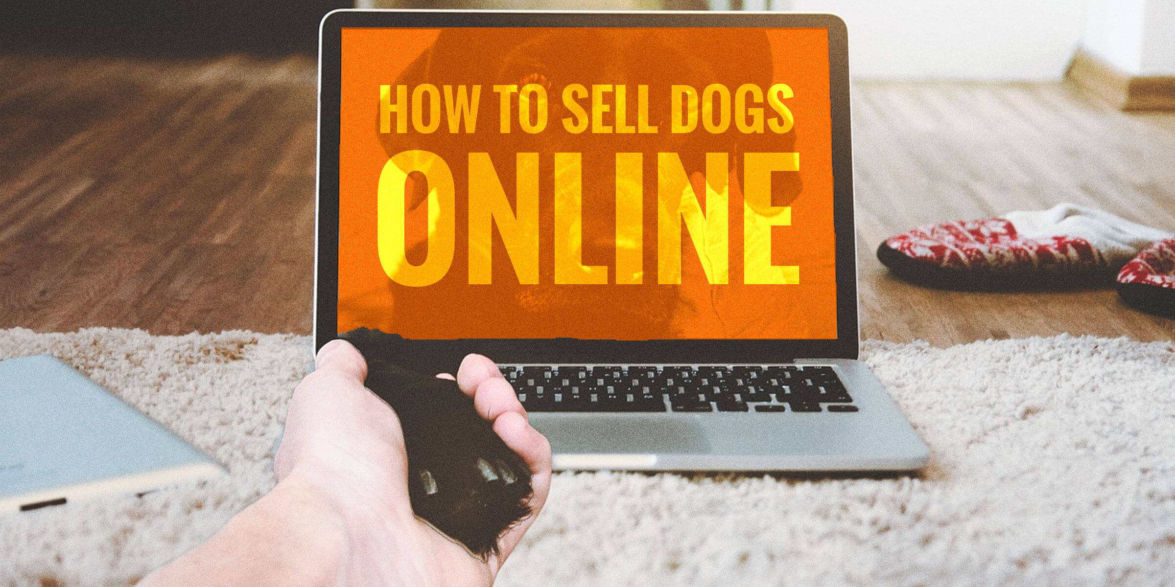 how to sell dogs online