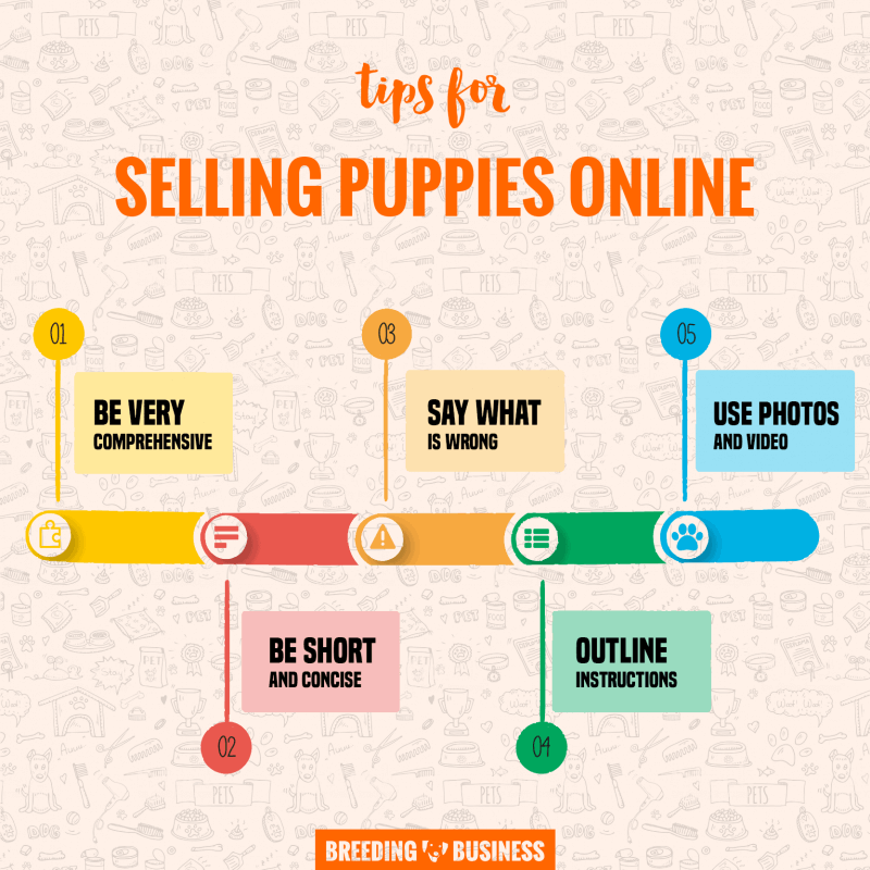 Do You Need A Permit To Sell Puppies