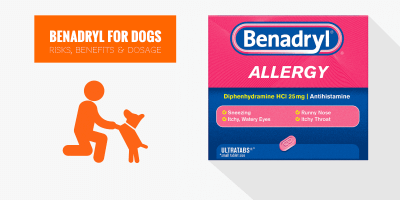 Benadryl For Dogs — Usage, Side Effects, Dosage & Benefits