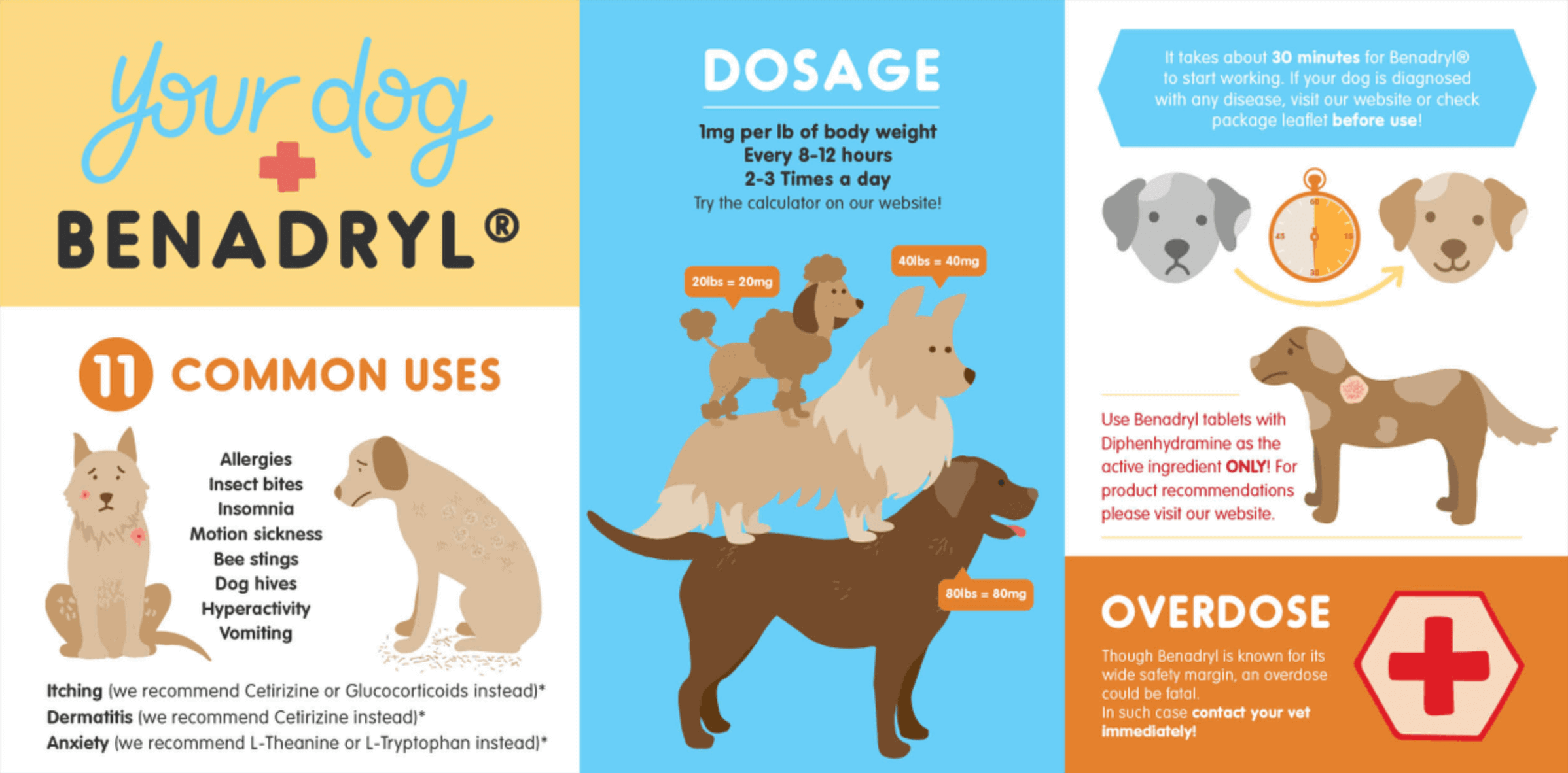 Benadryl with Dogs (infographic)