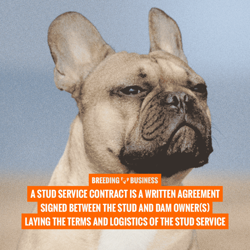 stud service contract