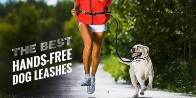 Best Hands-Free Leashes for Dogs