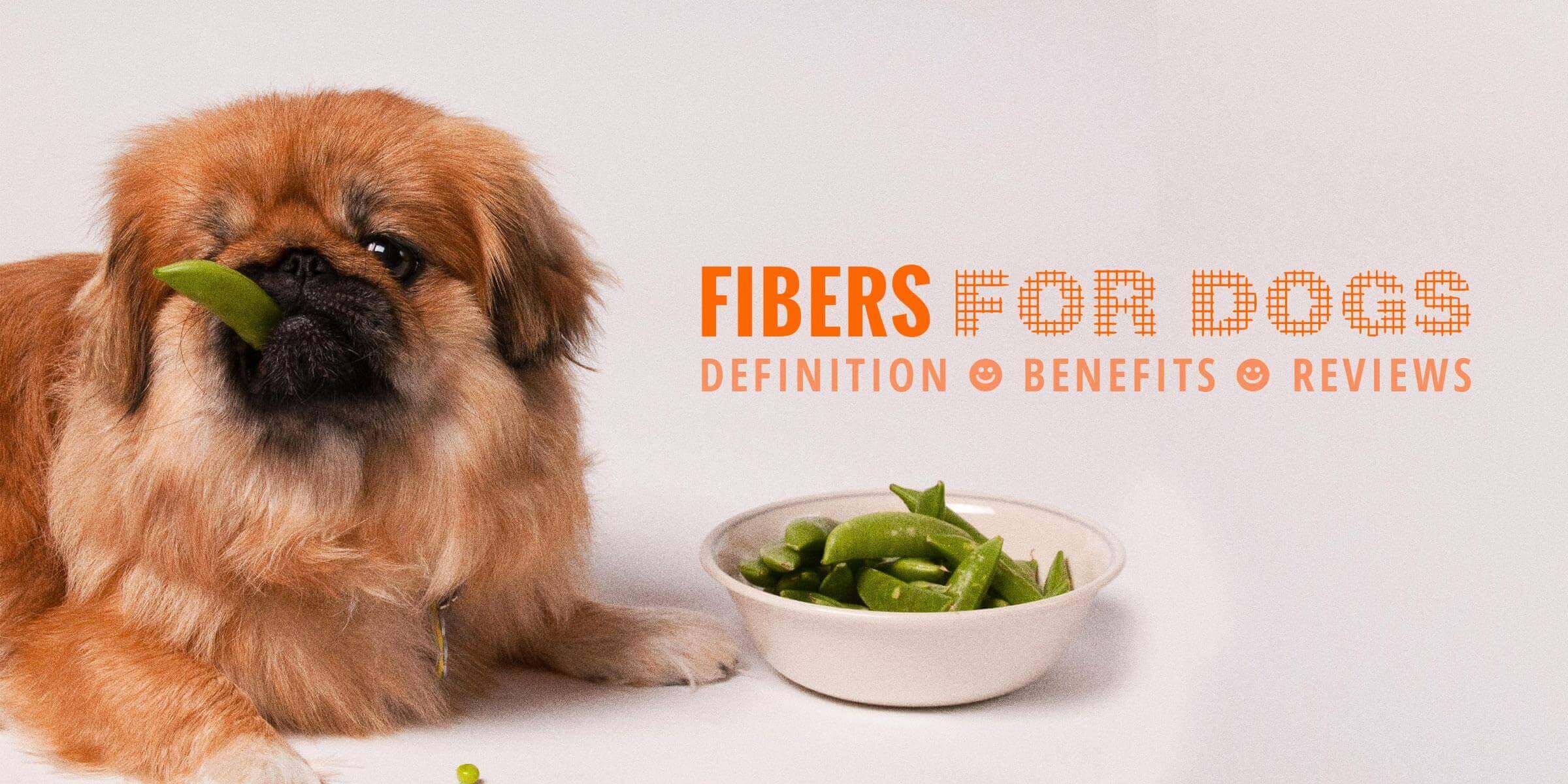 Fibers for Dogs