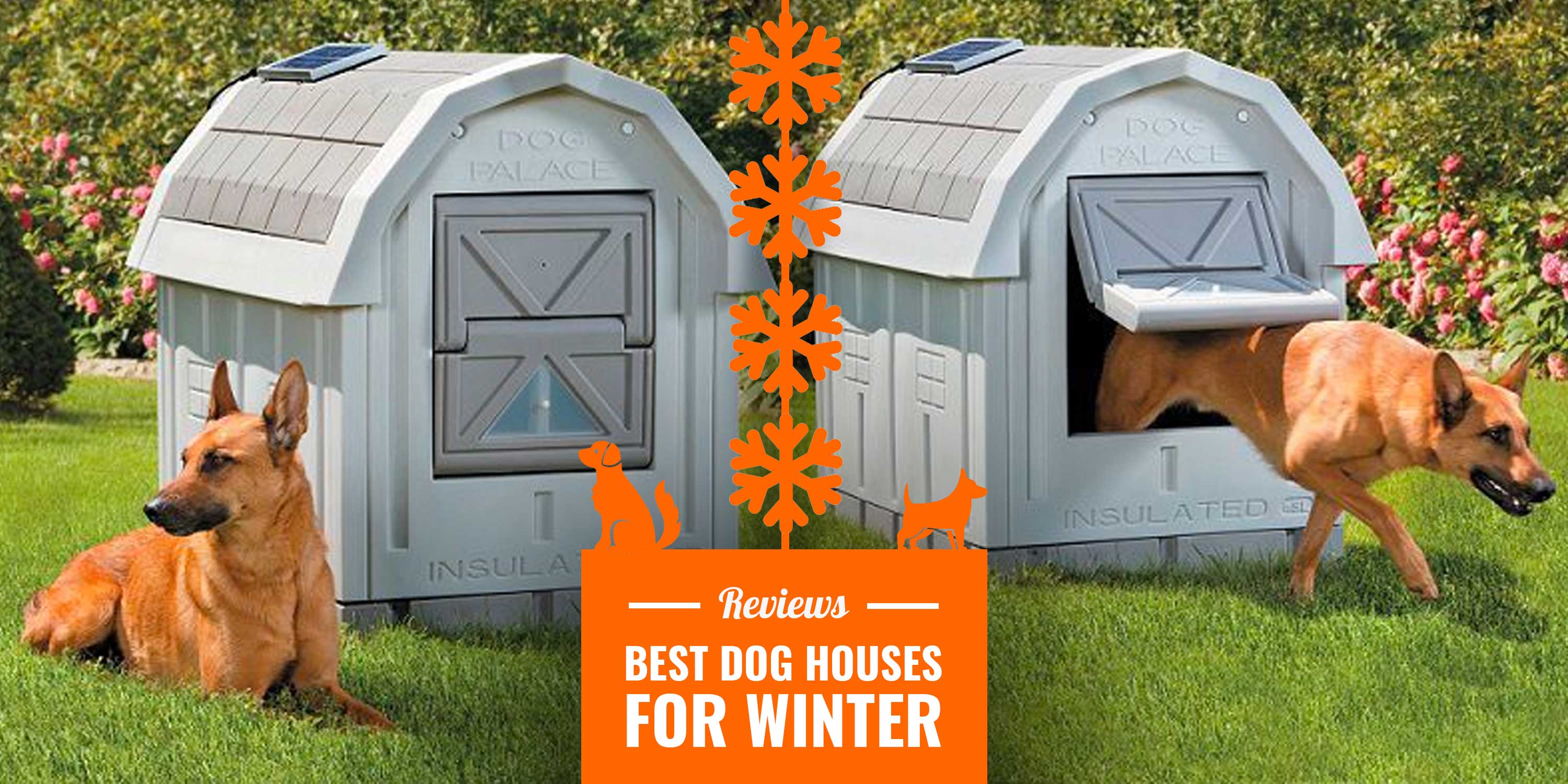 14 Best Dog Houses For Winter — Reviews, Insulation, Tips & Diy