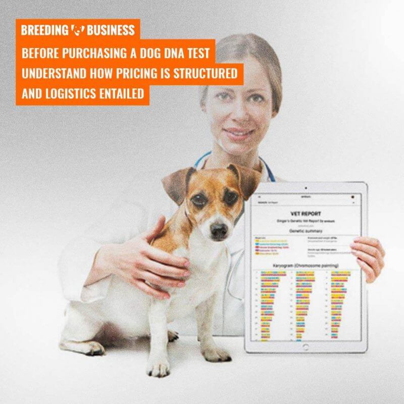 price of dog dna tests and kits