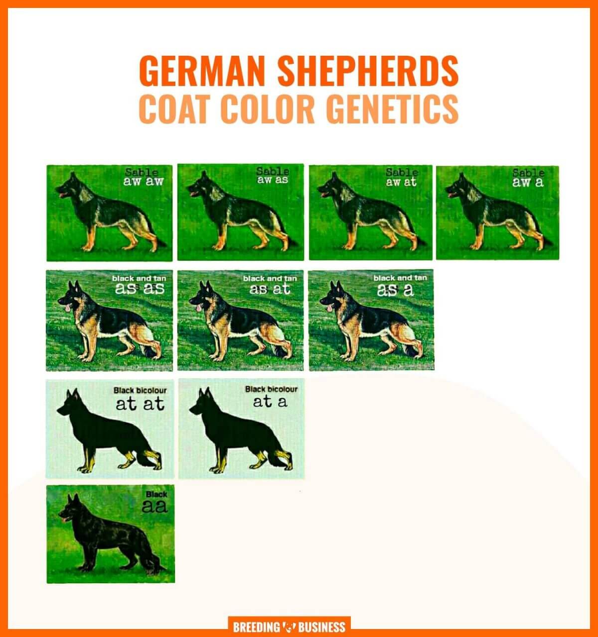 Gsd coat cheap types