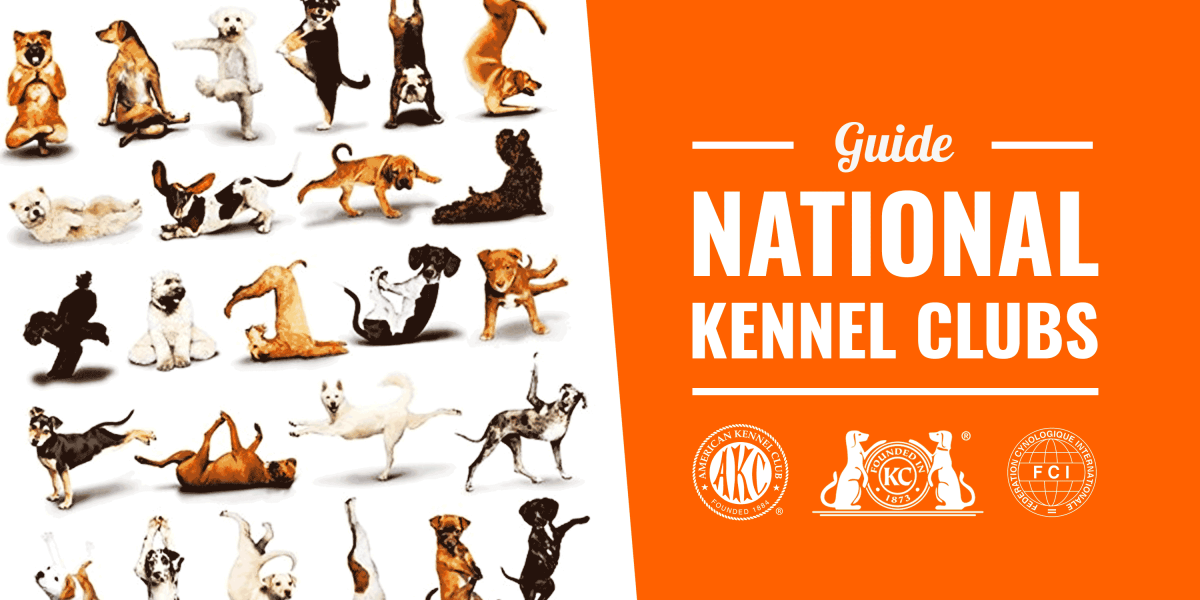 National Kennel Clubs