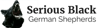 Serious Black German Shepherds logo