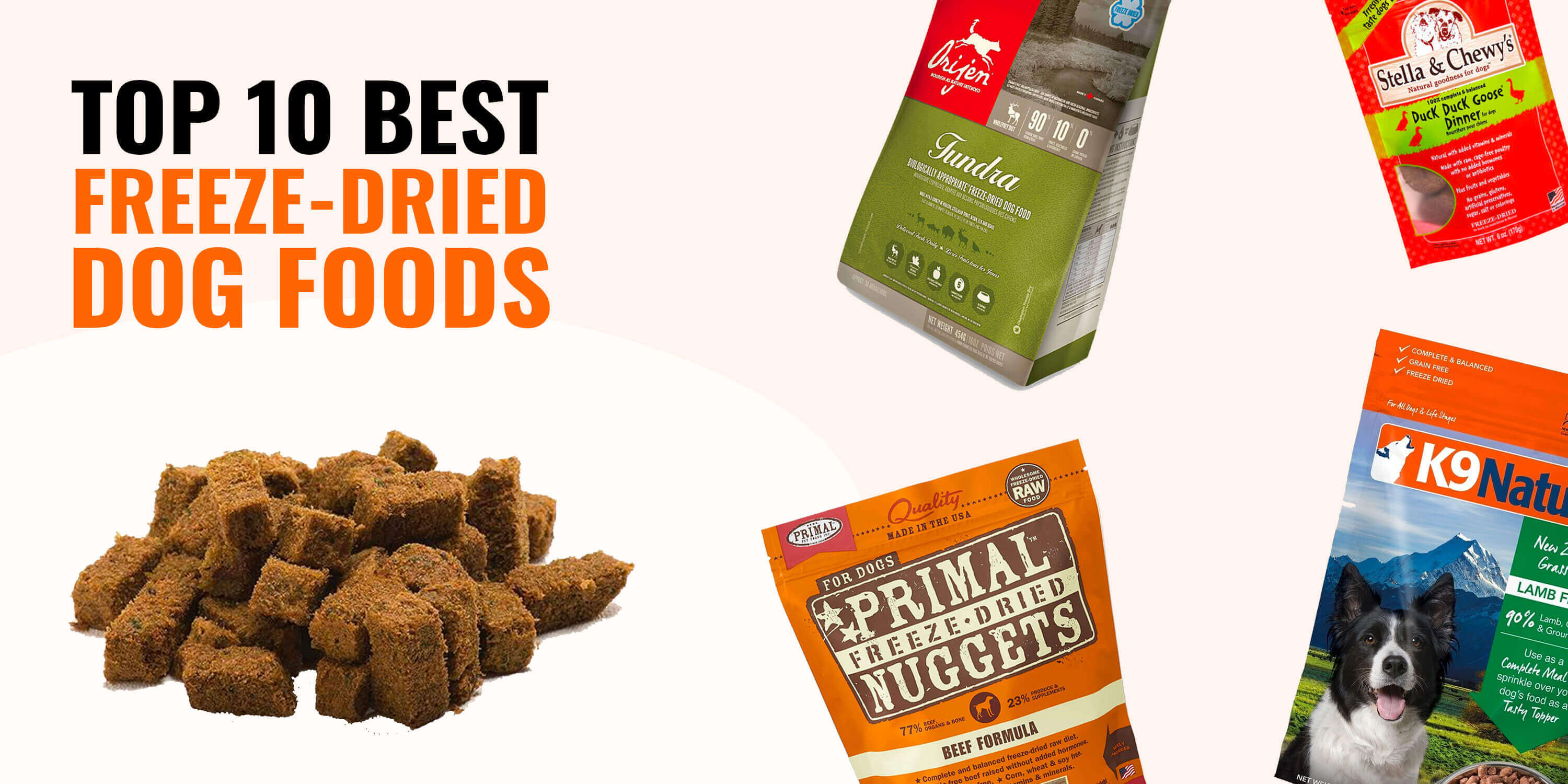 10 Best FreezeDried Dog Foods [2024 Reviews]