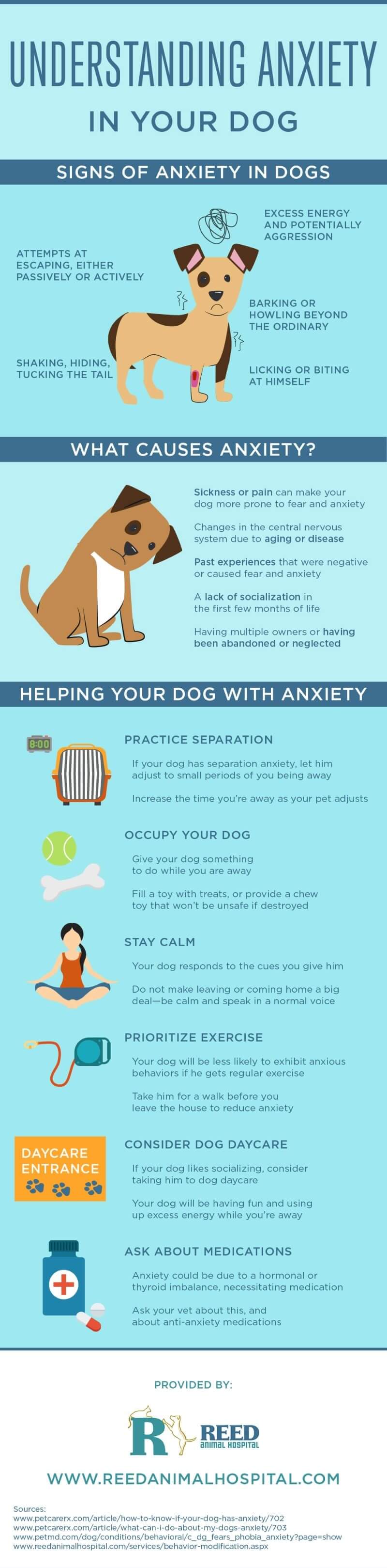 what are the symptoms of anxiety in dogs