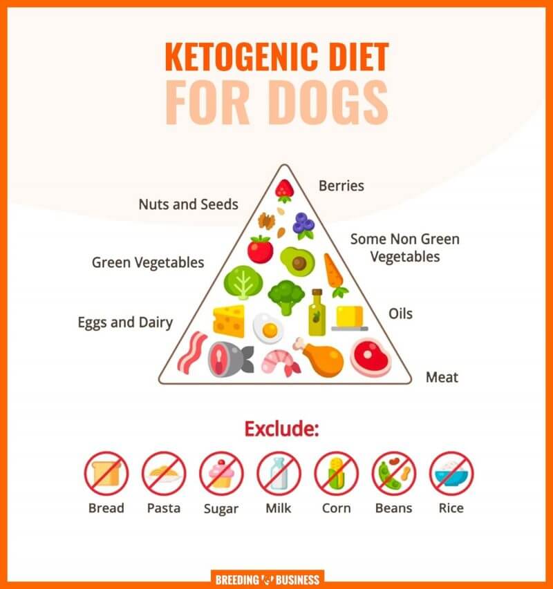 keto dog food recipes