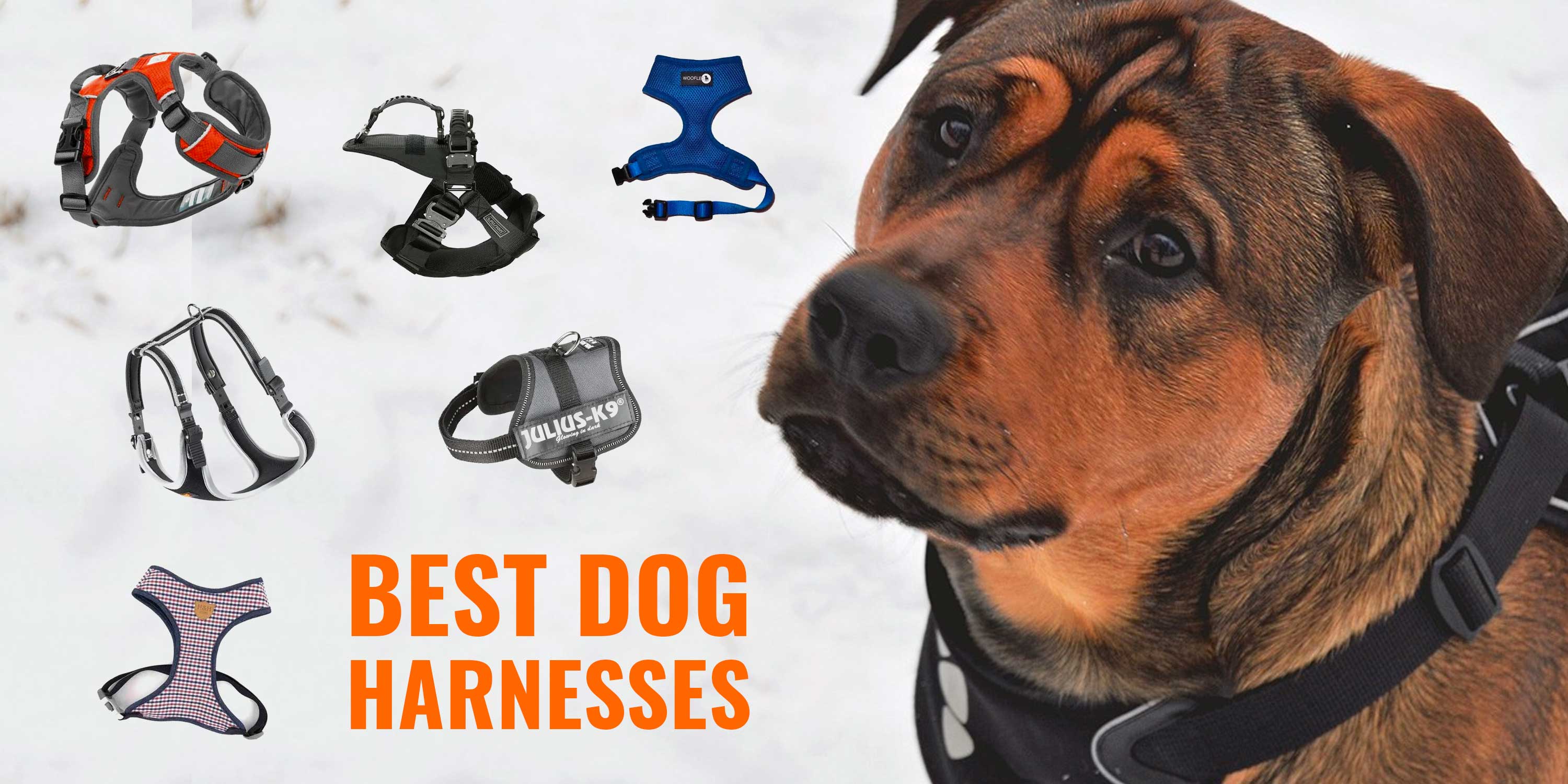 XXL DURABLE  Comfortable PADDED Dog Harness HANDLE Reflective Medium Large M