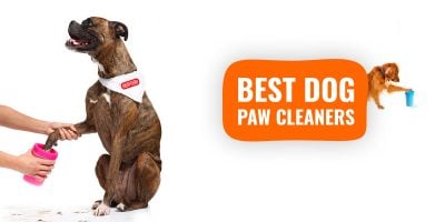 best dog paw cleaners