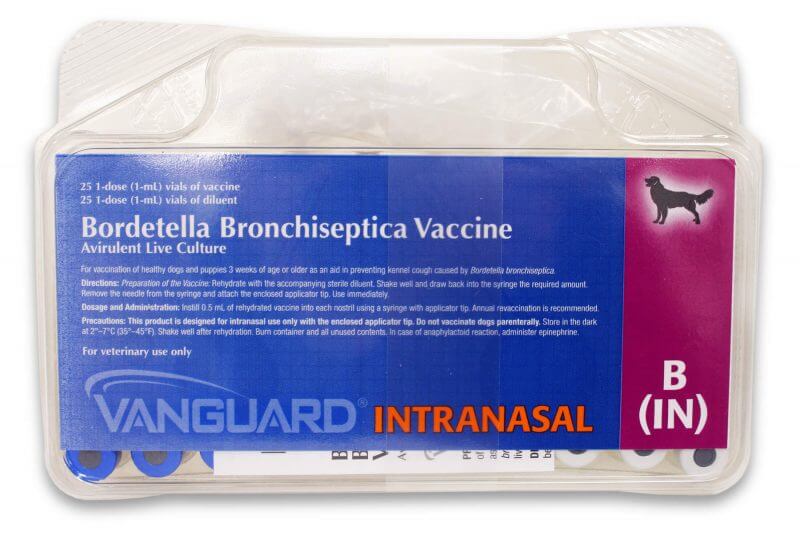 bordetella bronchisepticas vaccine by vanguard