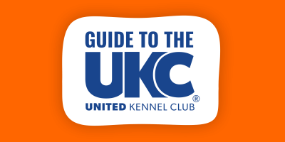 united kennel club