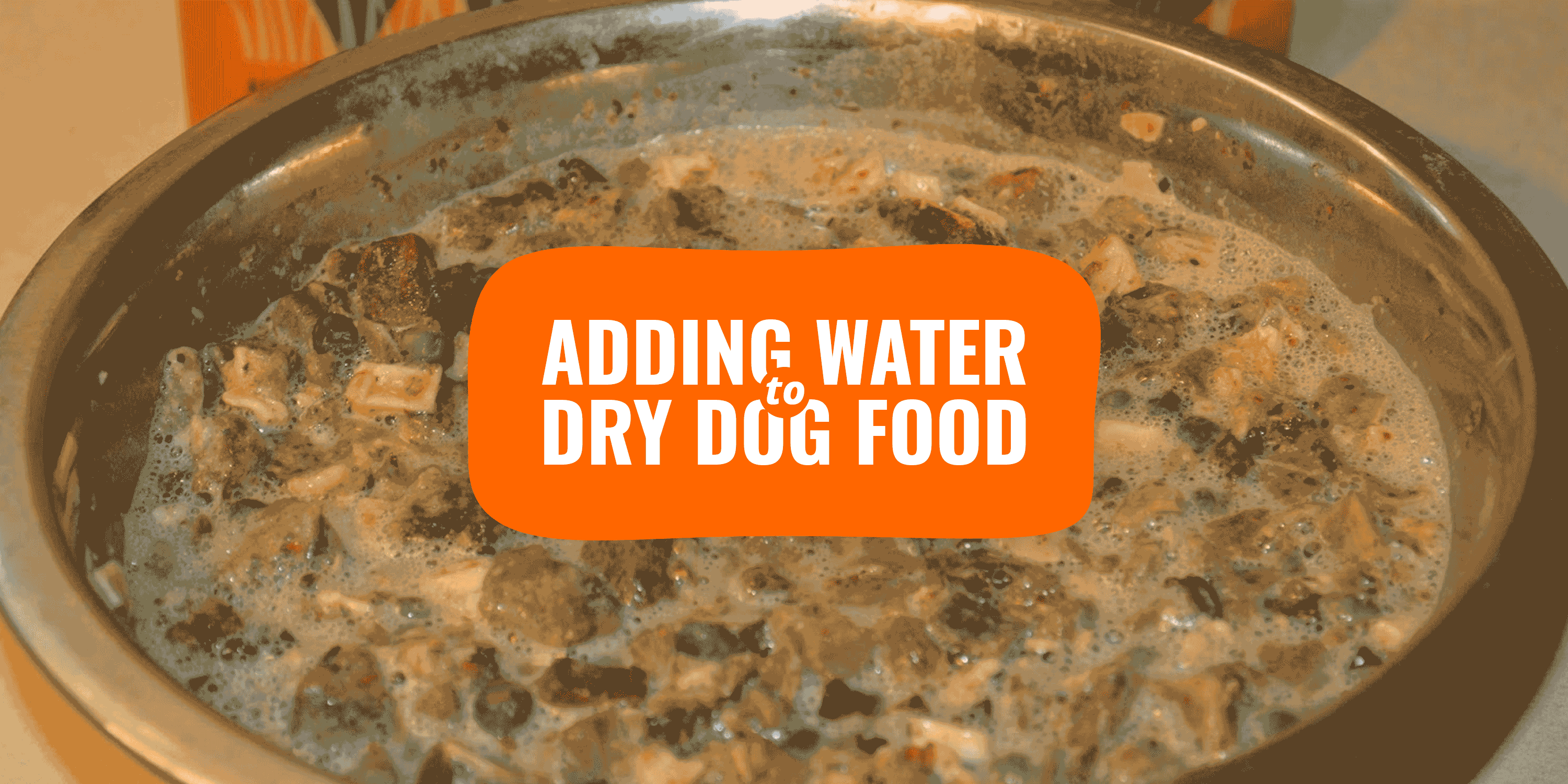 Add Water to Dry Dog Food