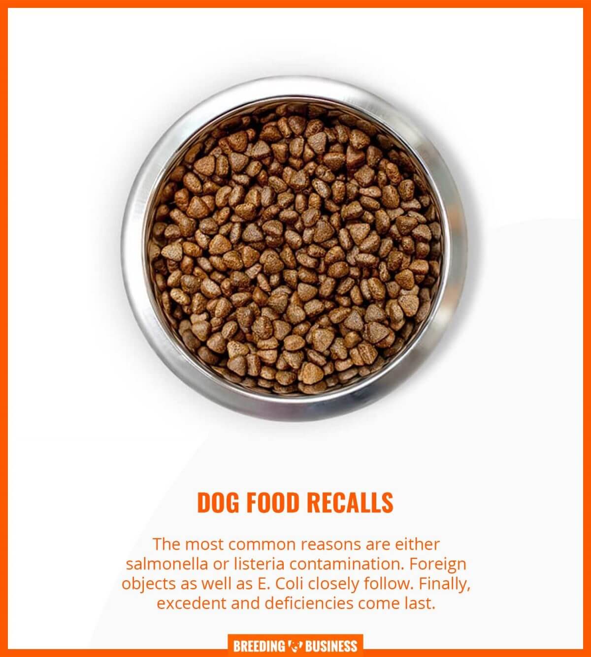 Venison Dog Food Recall Reasons photo