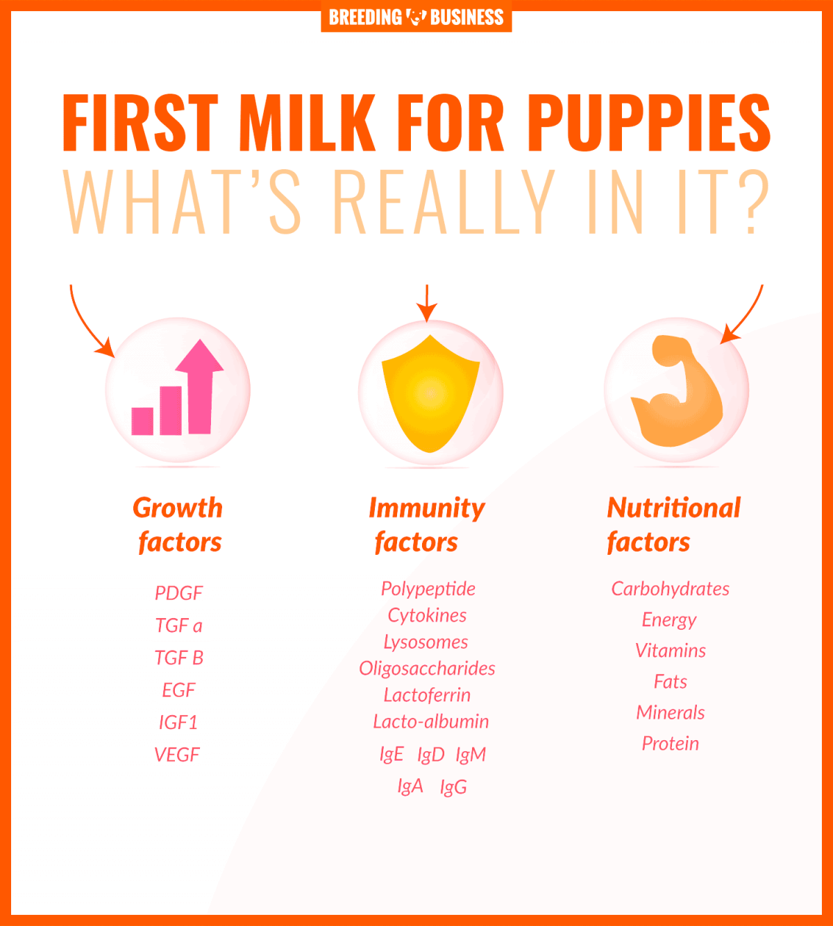 first milk for puppies (contents and benefits)