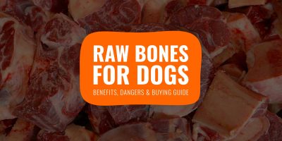 Raw Bones for Dogs – vs Cooked, Benefits & Safety