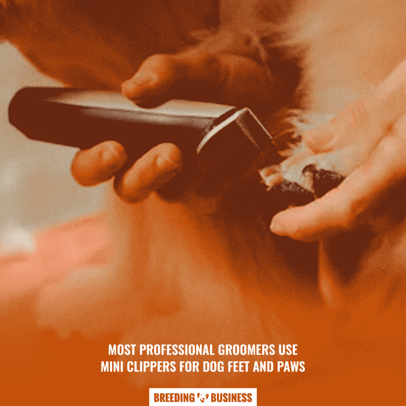 dog feet clippers are safer