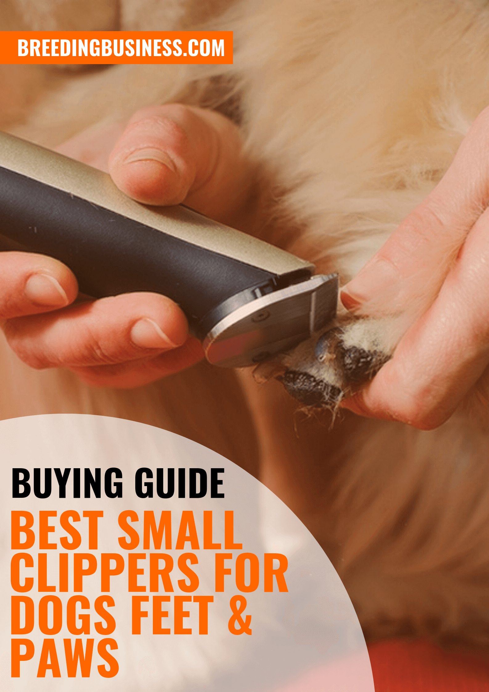 Best trimmer outlet for dog paws