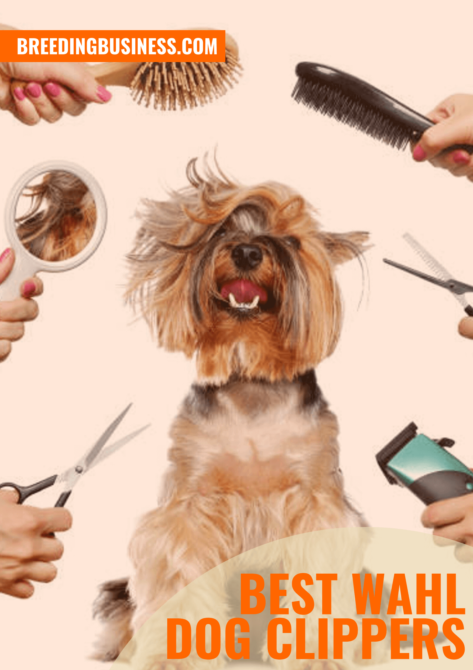 Shopping Guide: Wahl Dog Clippers