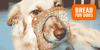 bread for dogs