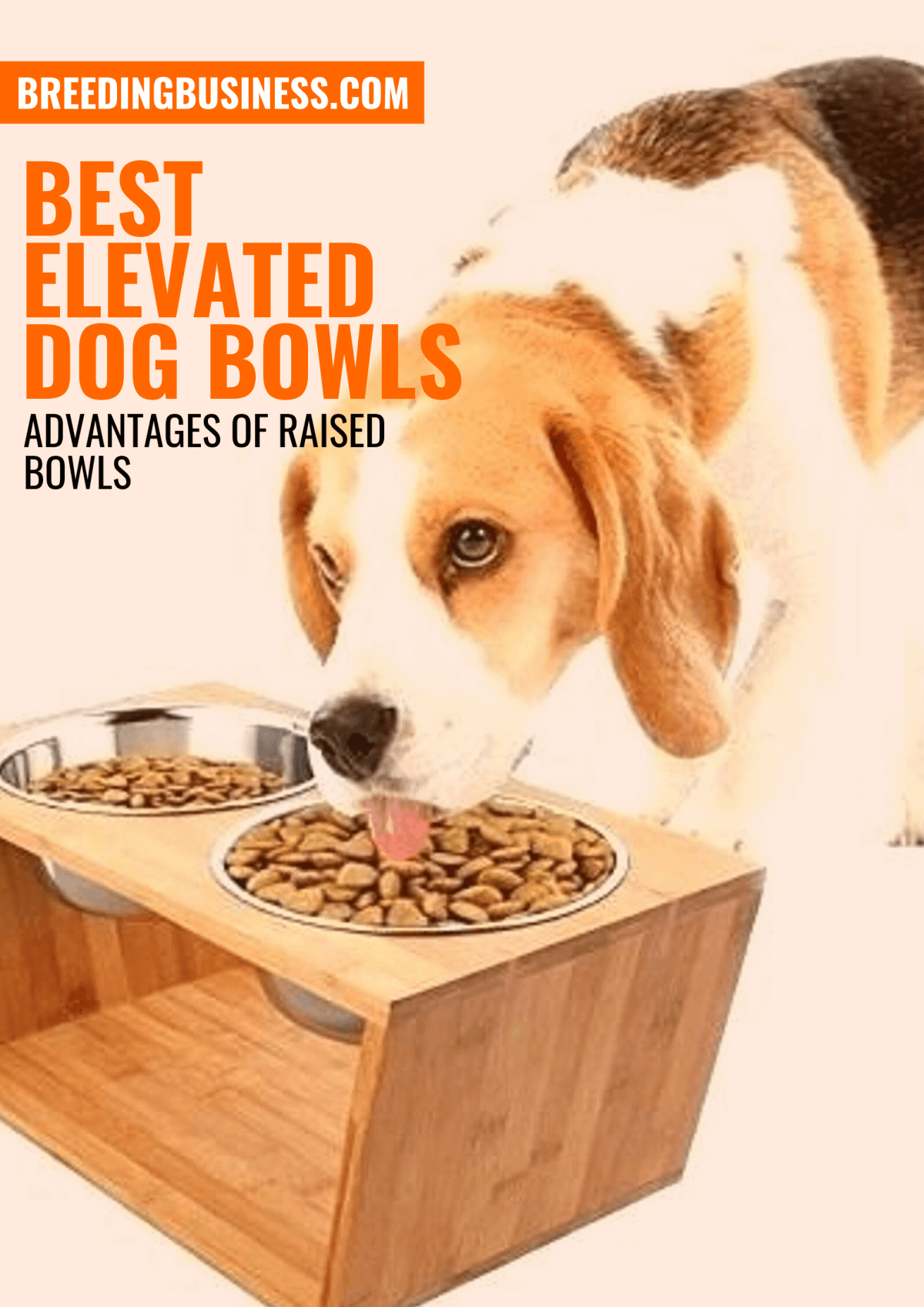 is it better for dogs to eat from elevated bowls