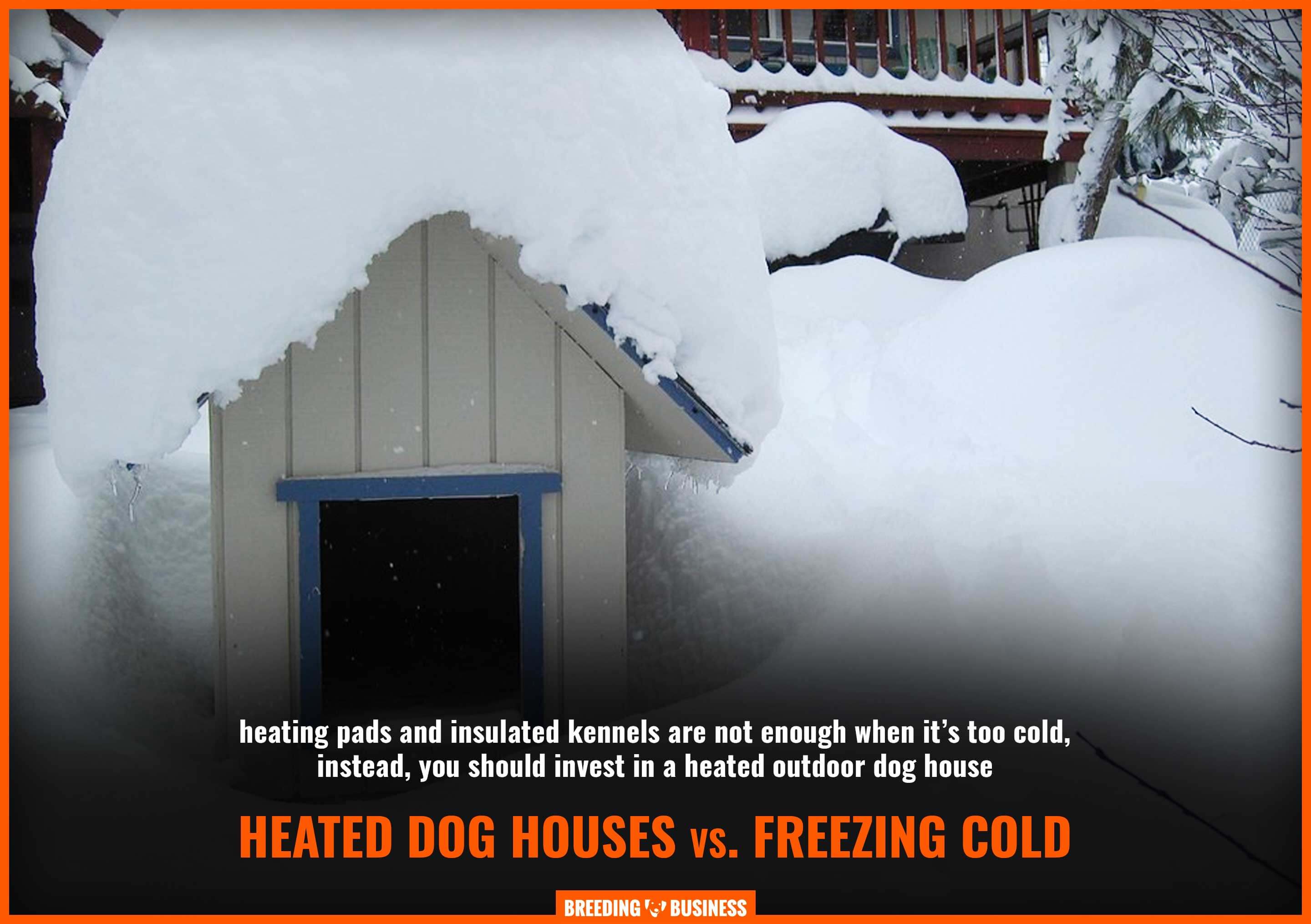 best heated outdoor dog houses