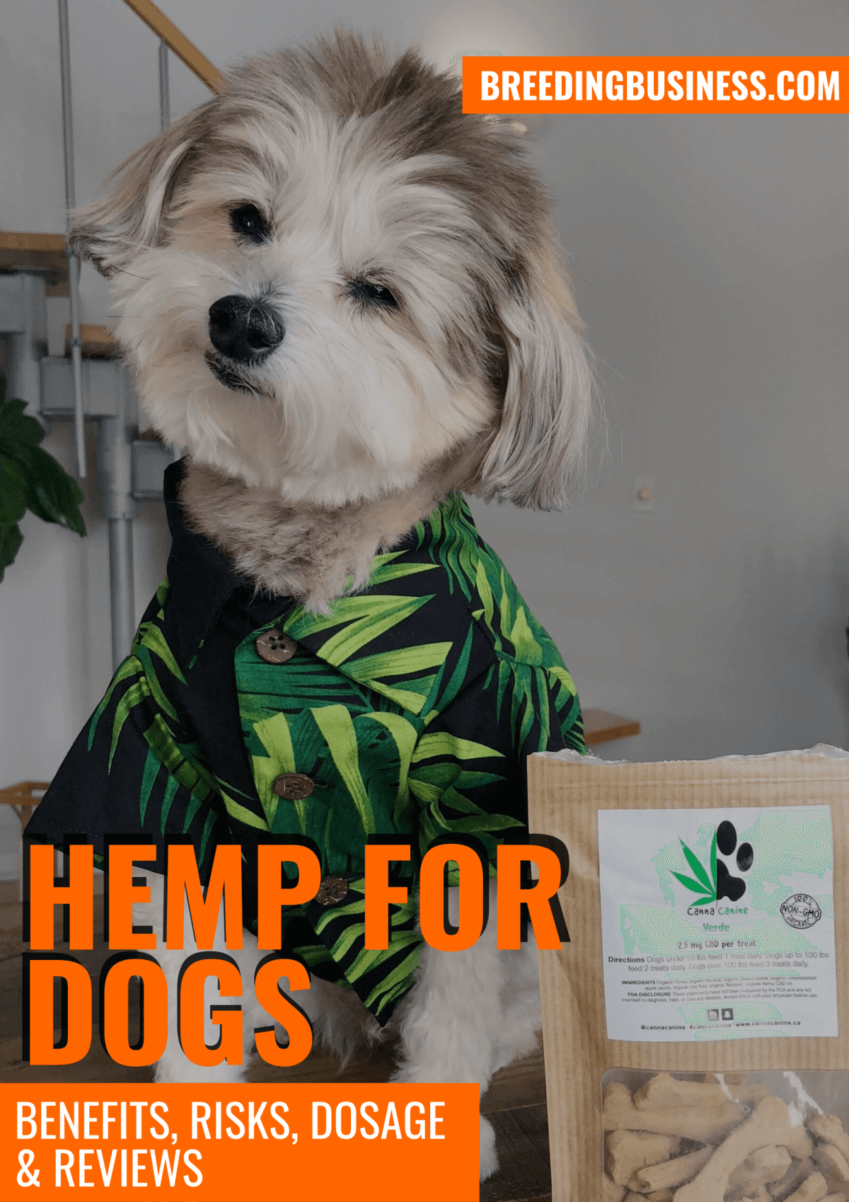 Best Hemp For Dogs – The Guide!