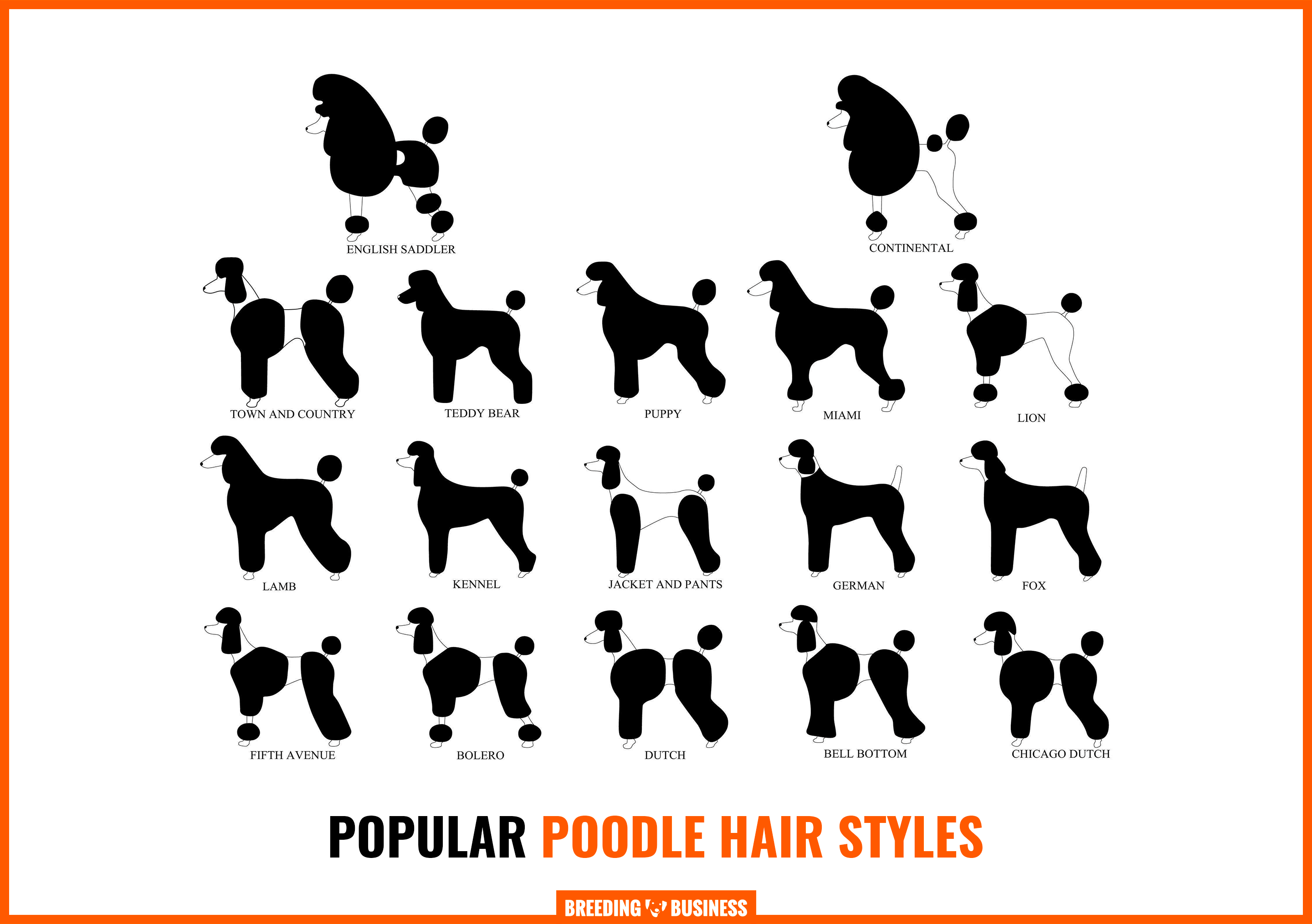 popular poodle hair cut styles