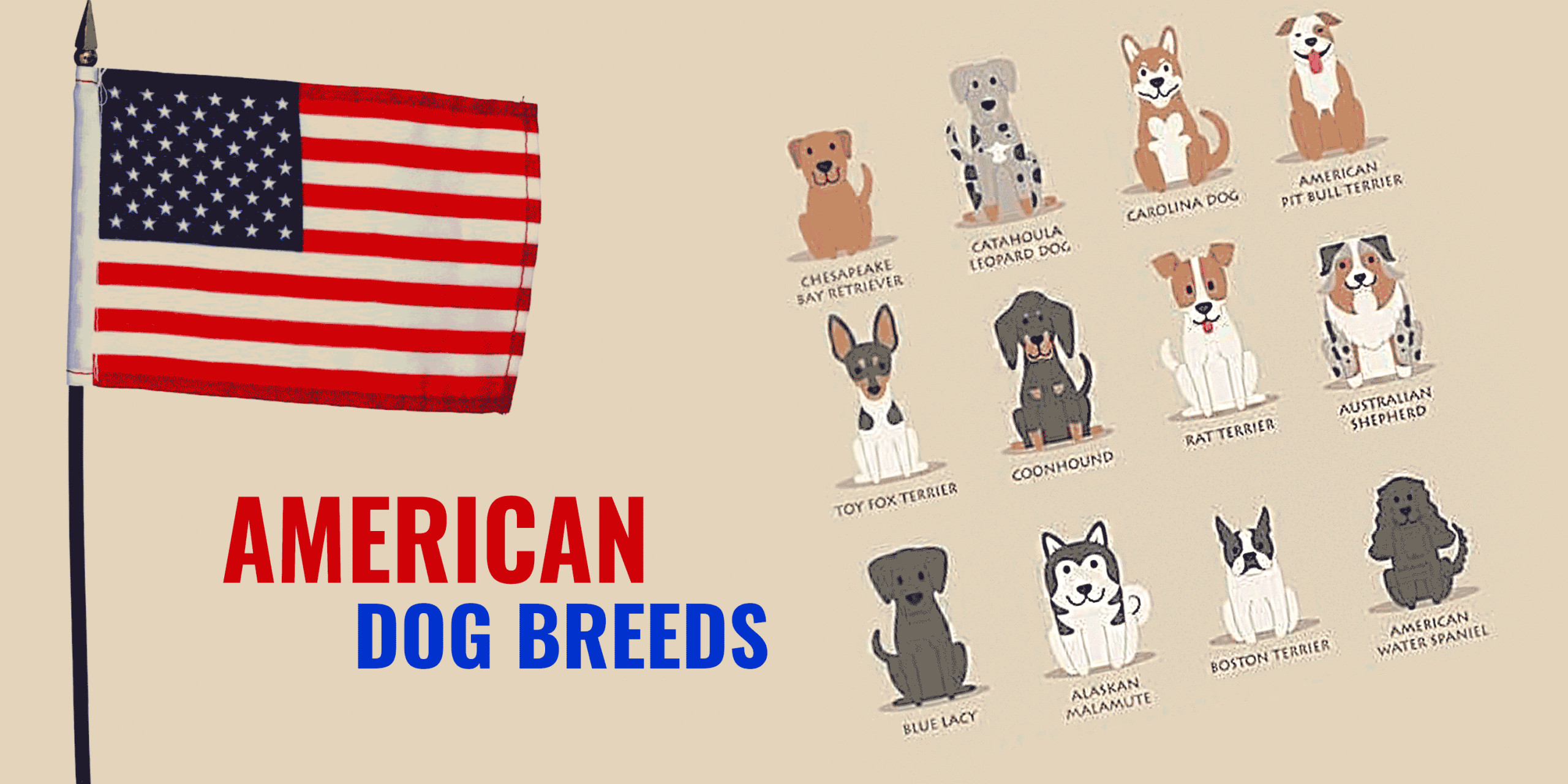 american dog breeds