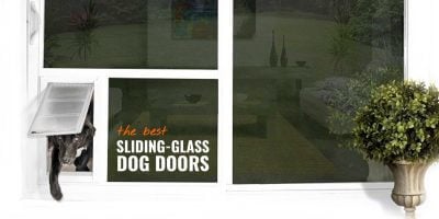 best sliding glass dog doors