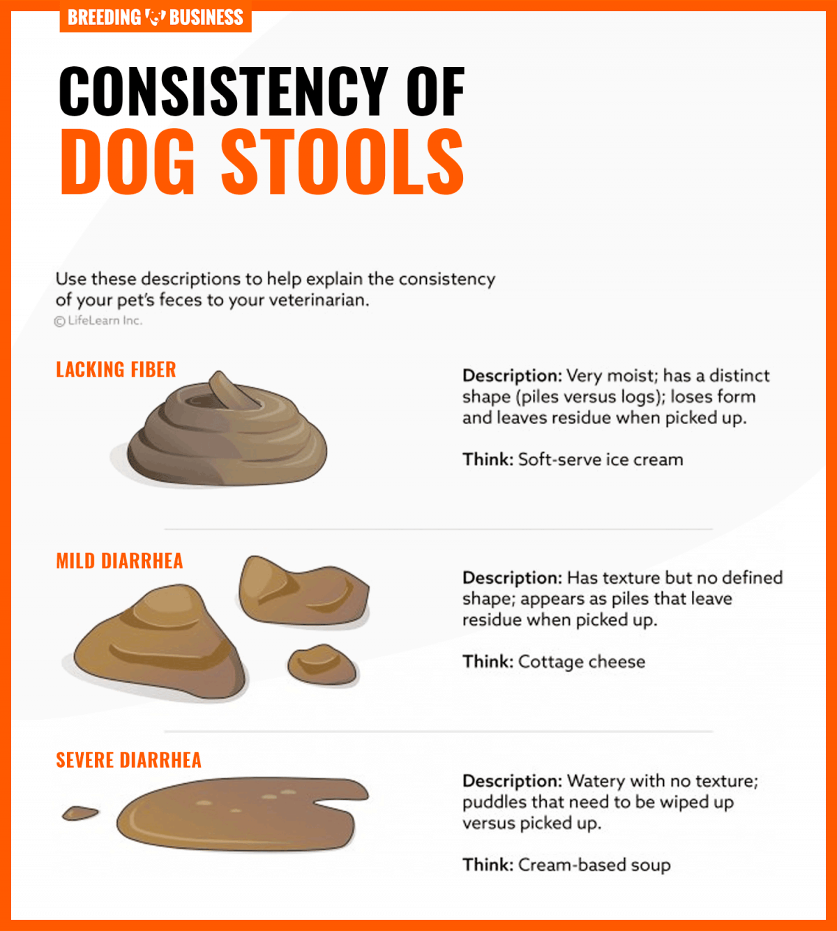 dog stools consistency